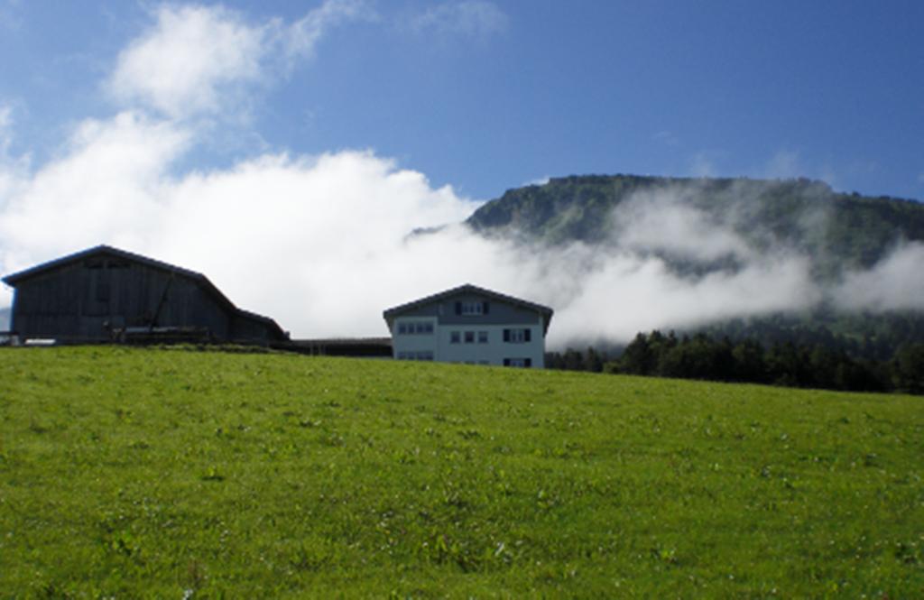 Berghof Voeglerbrand Villa Andelsbuch Exterior photo